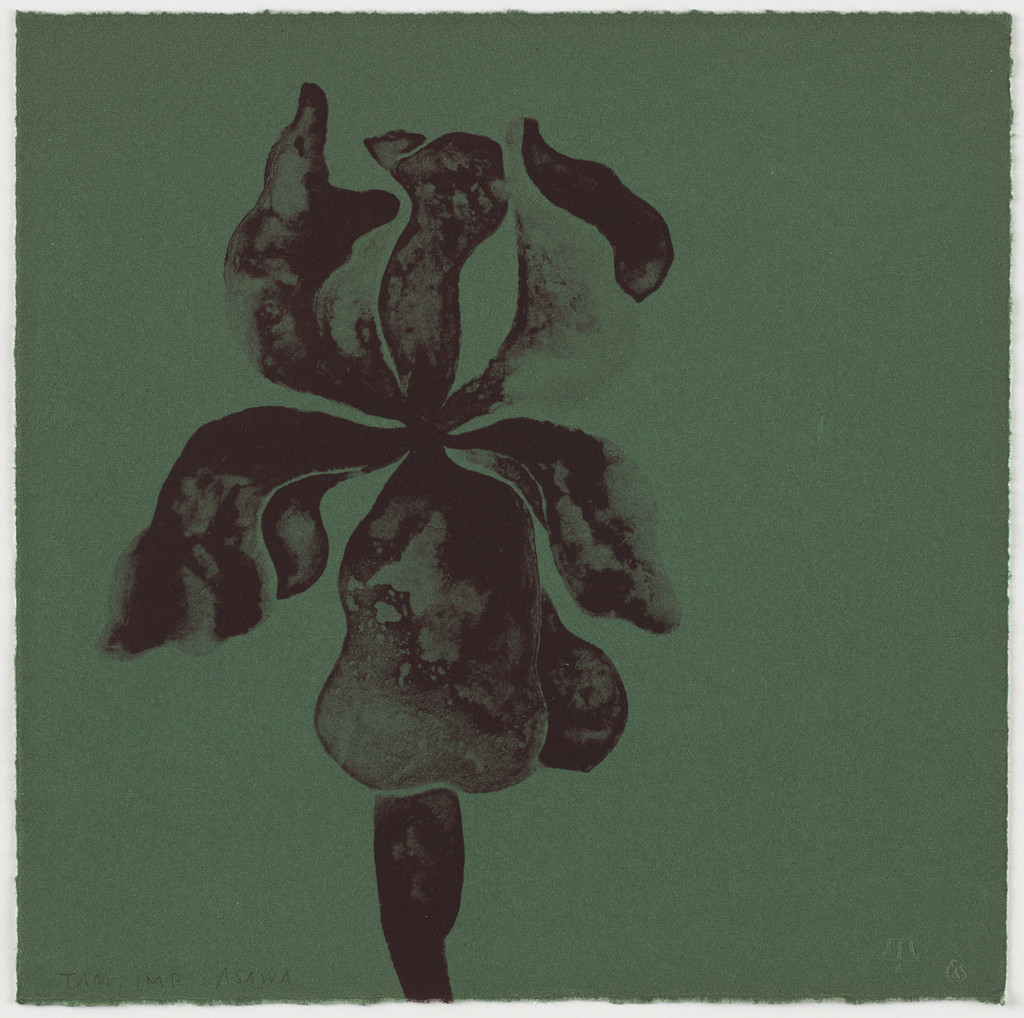 Untitled from Flowers