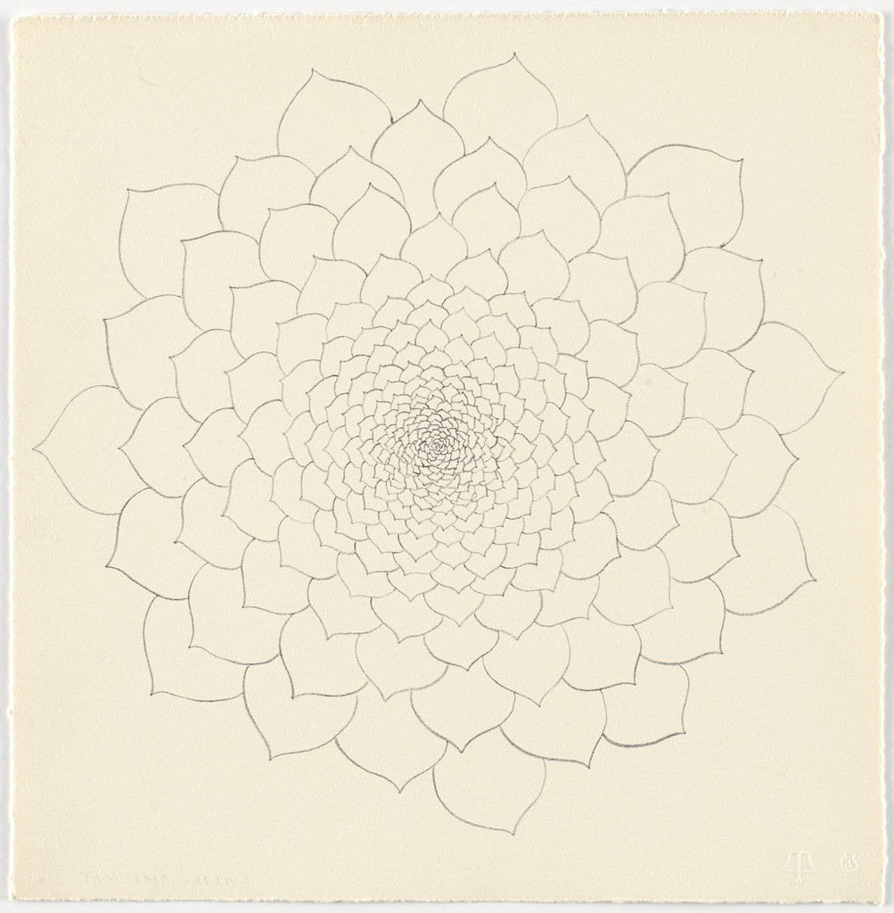 Untitled from Flowers