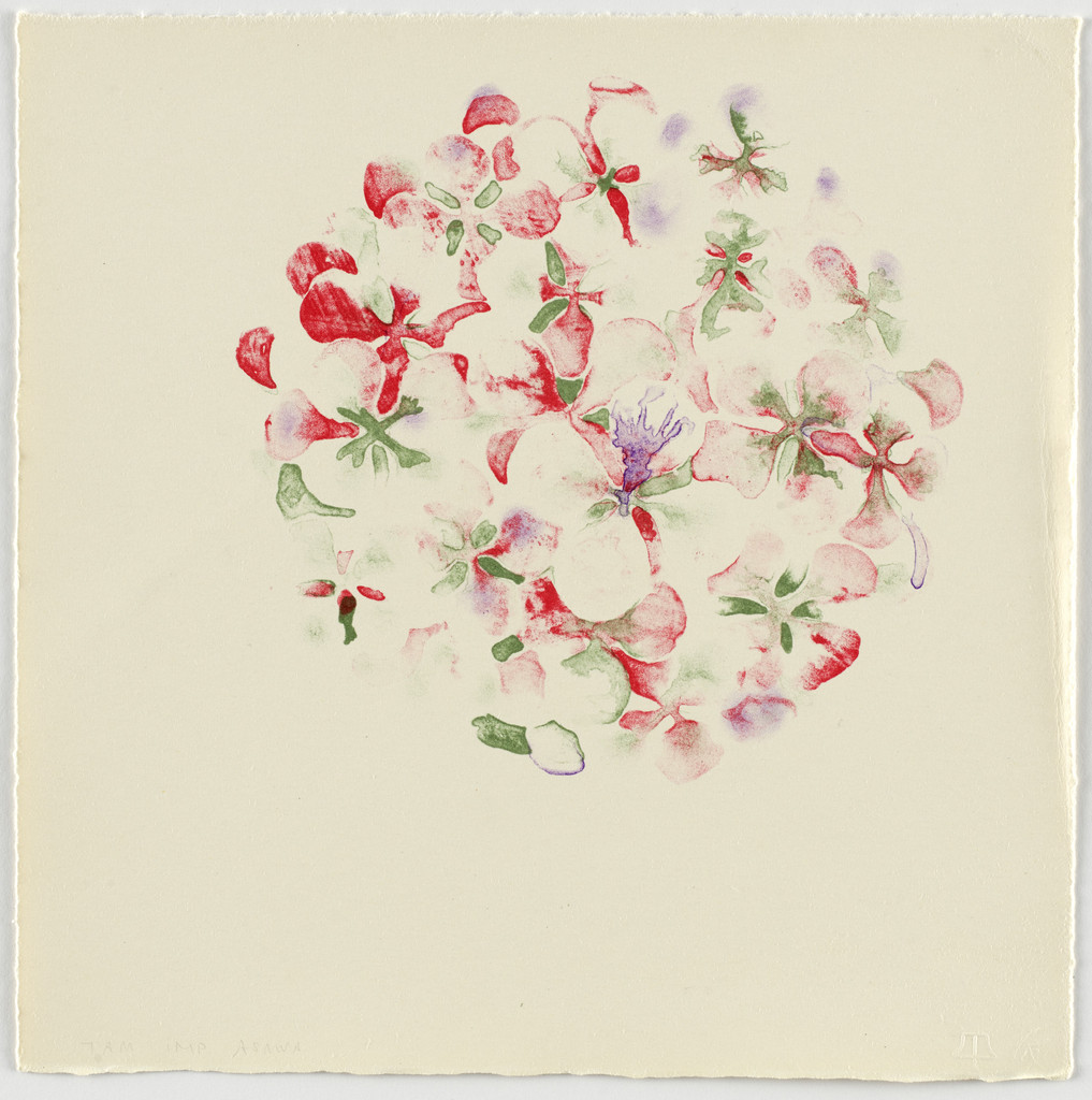 Untitled from Flowers
