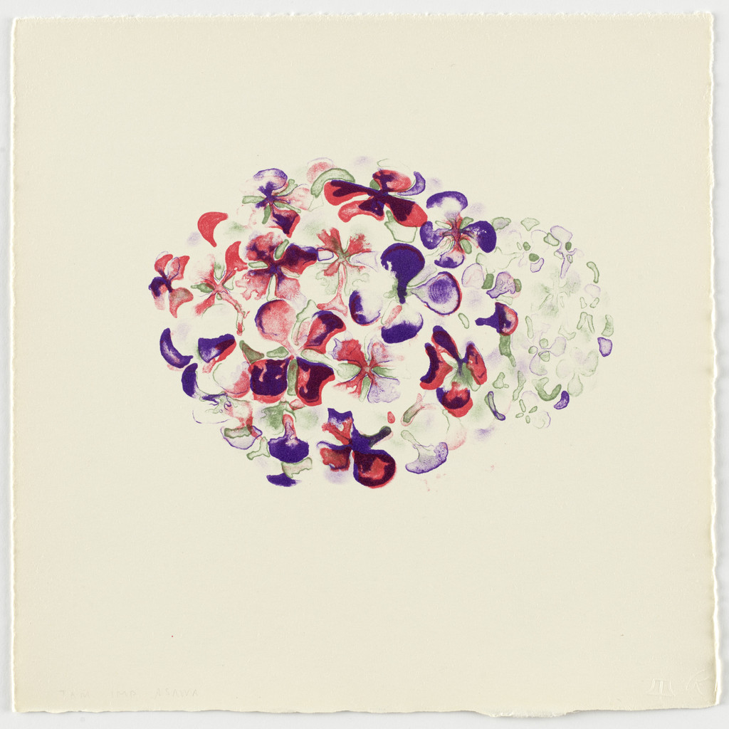 Untitled from Flowers