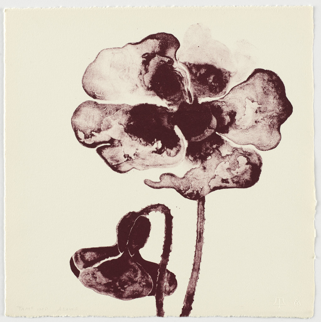Untitled from Flowers