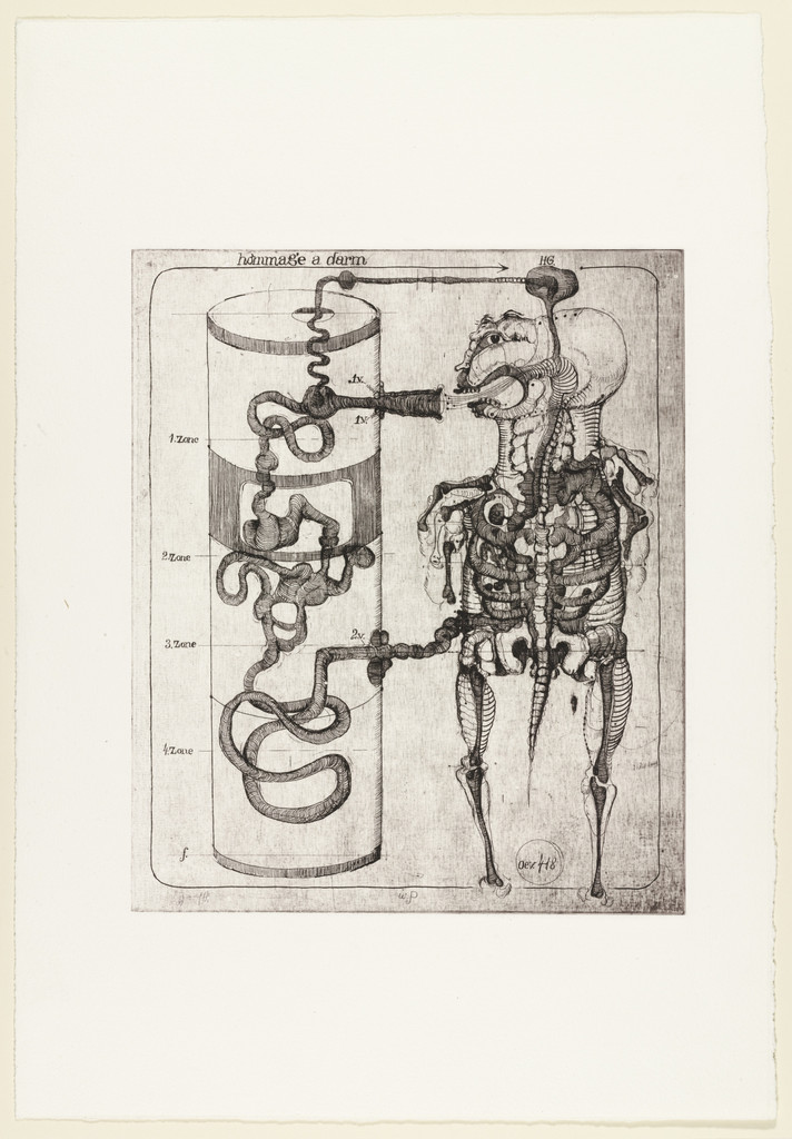 Homage to Intestine