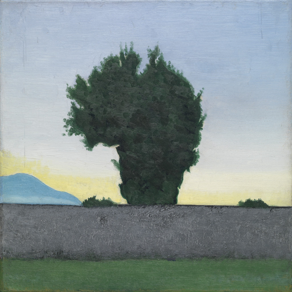 First Light