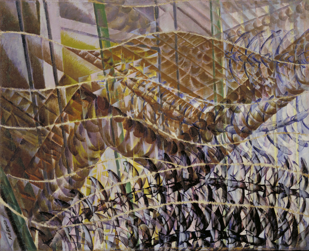 Swifts: Paths of Movement + Dynamic Sequences