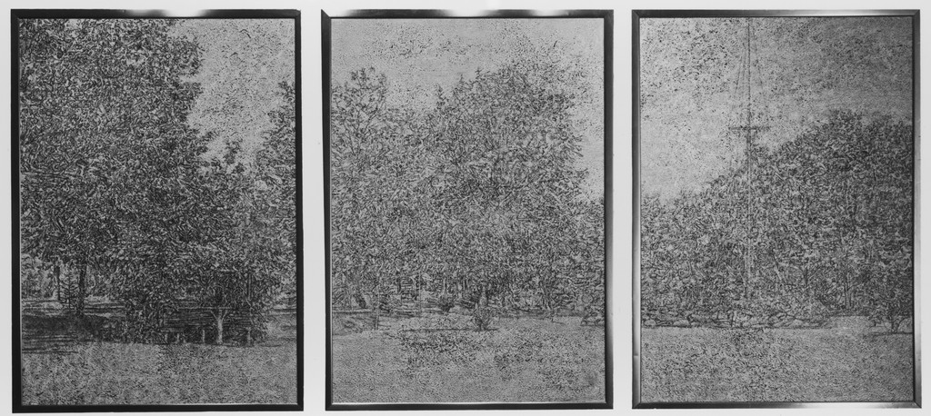 Garden II