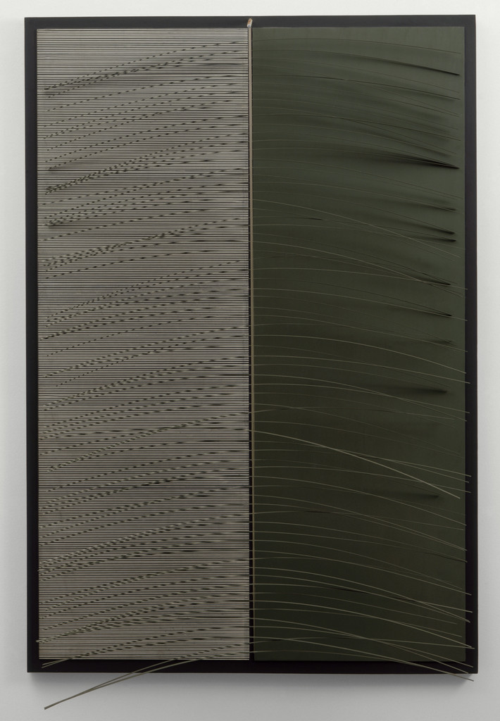 Olive and Black