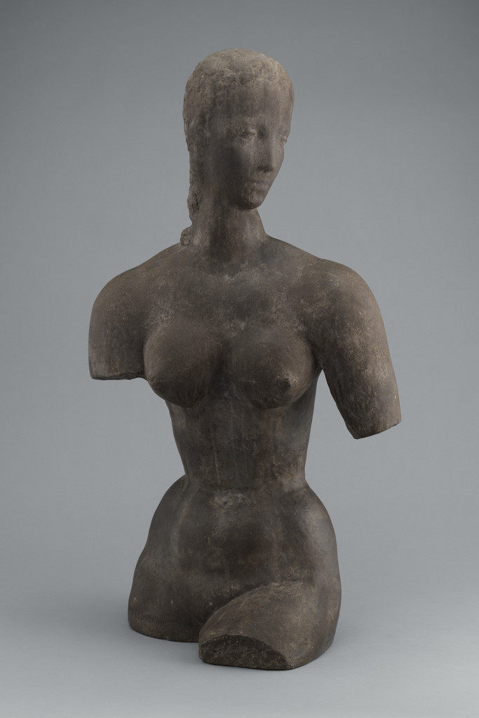 Torso