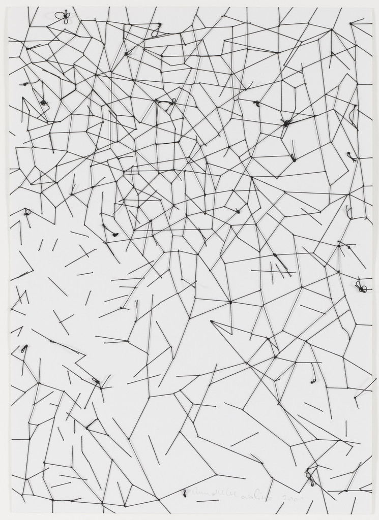 Untitled From the series Indexes (Indicios)