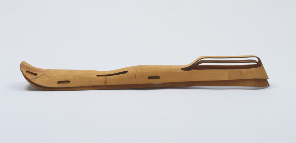 Leg Splint