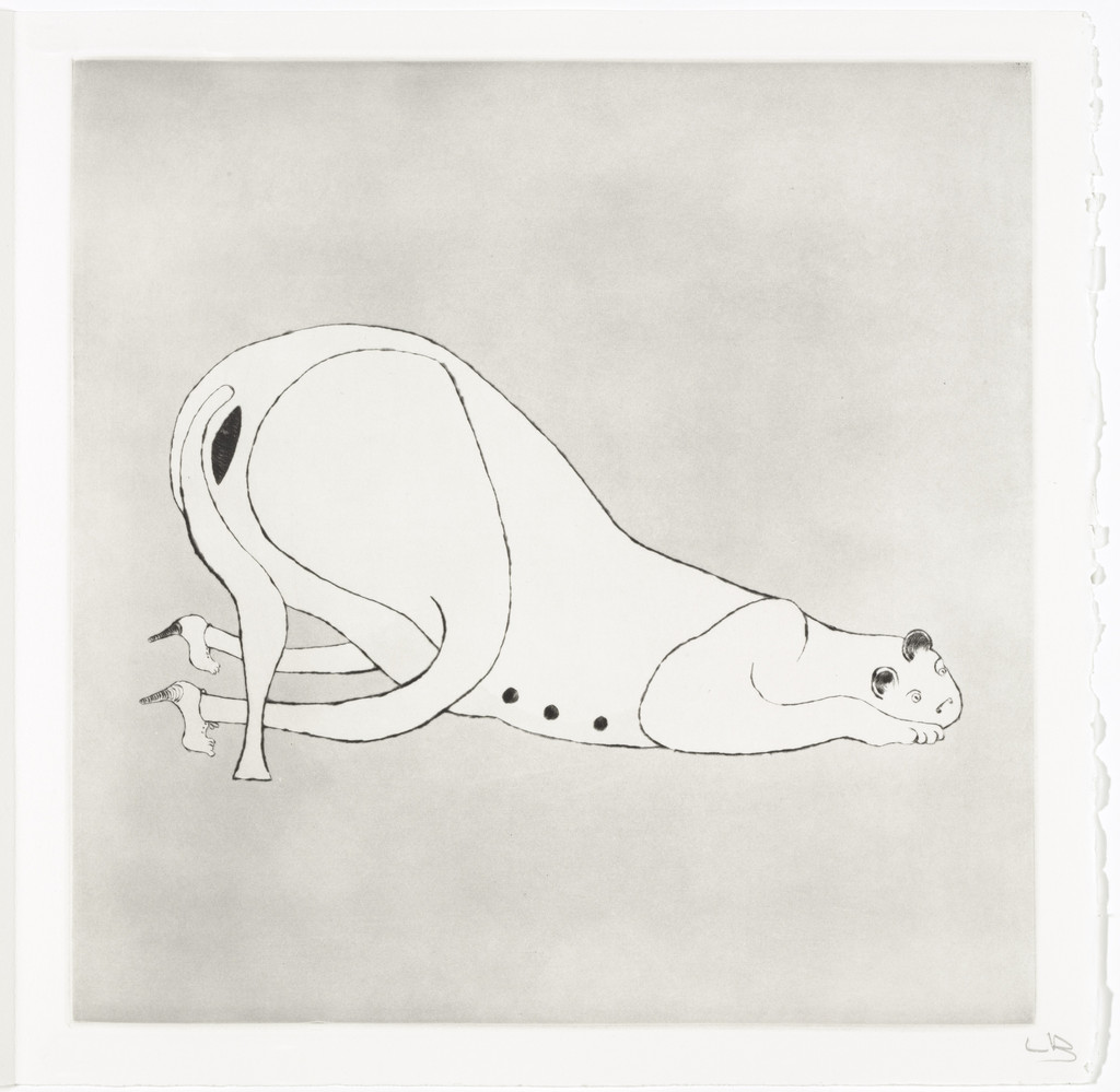 Untitled, plate 1 of 5, from the illustrated book, Metamorfosis
