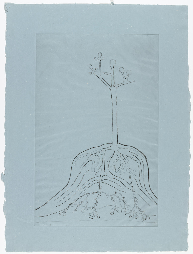 The Ainu Tree