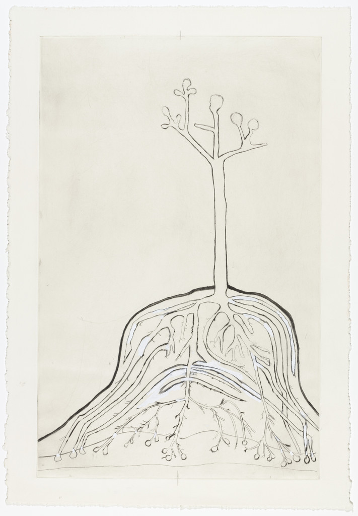The Ainu Tree