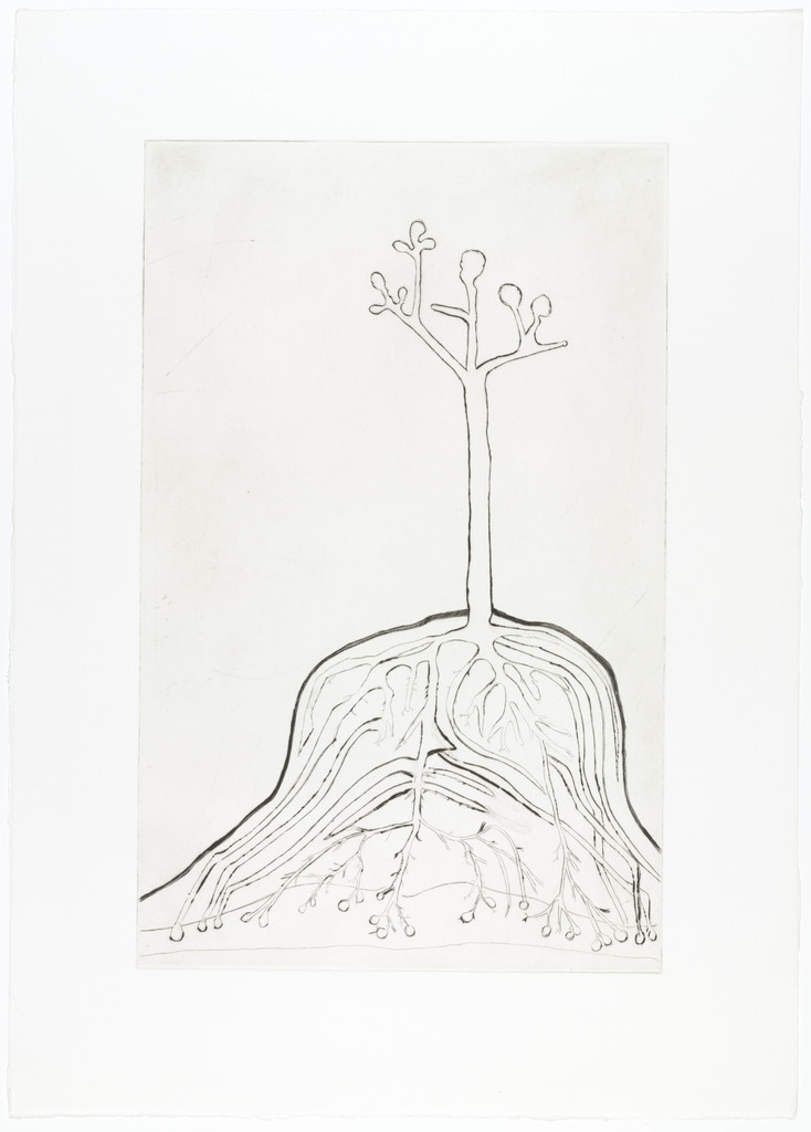 The Ainu Tree