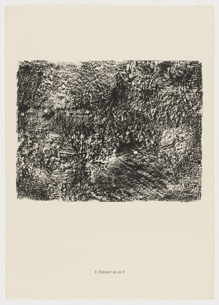 Soil Element II (Elément de sol II) from the portfolio Earth and Water (La Terre et l'eau) from Phenomena (Les Phénomènes)