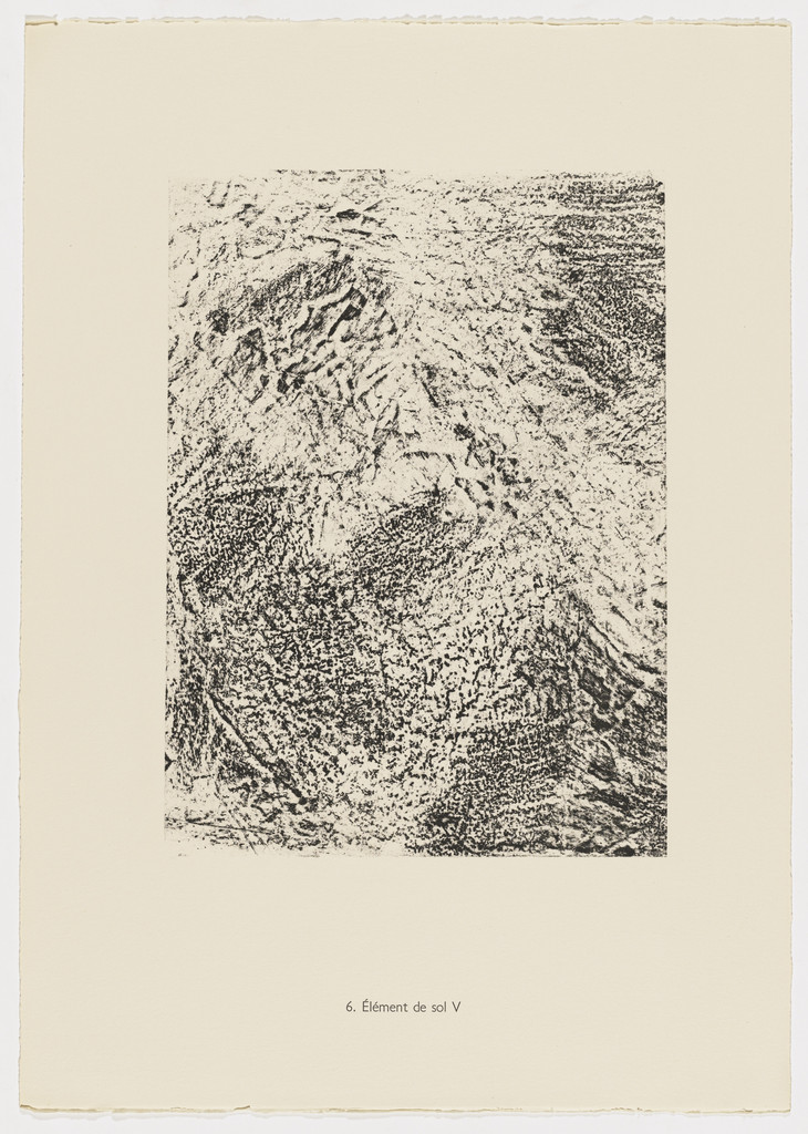 Soil Element V (Elément de sol V) from the portfolio Earth and Water (La Terre et l'eau) from Phenomena (Les Phénomènes)