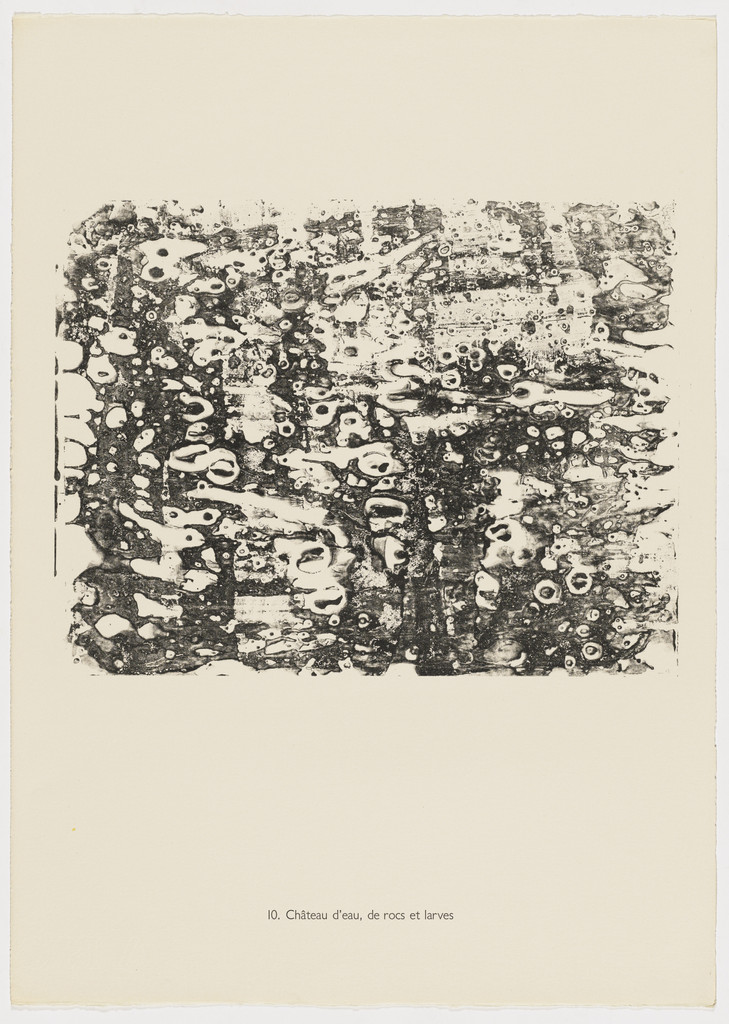 Castle of Water, of Rocks and Larva (Château d'eau, de rocs et larves) from the portfolio Earth and Water (La Terre et l'eau) from Phenomena (Les Phénomènes)