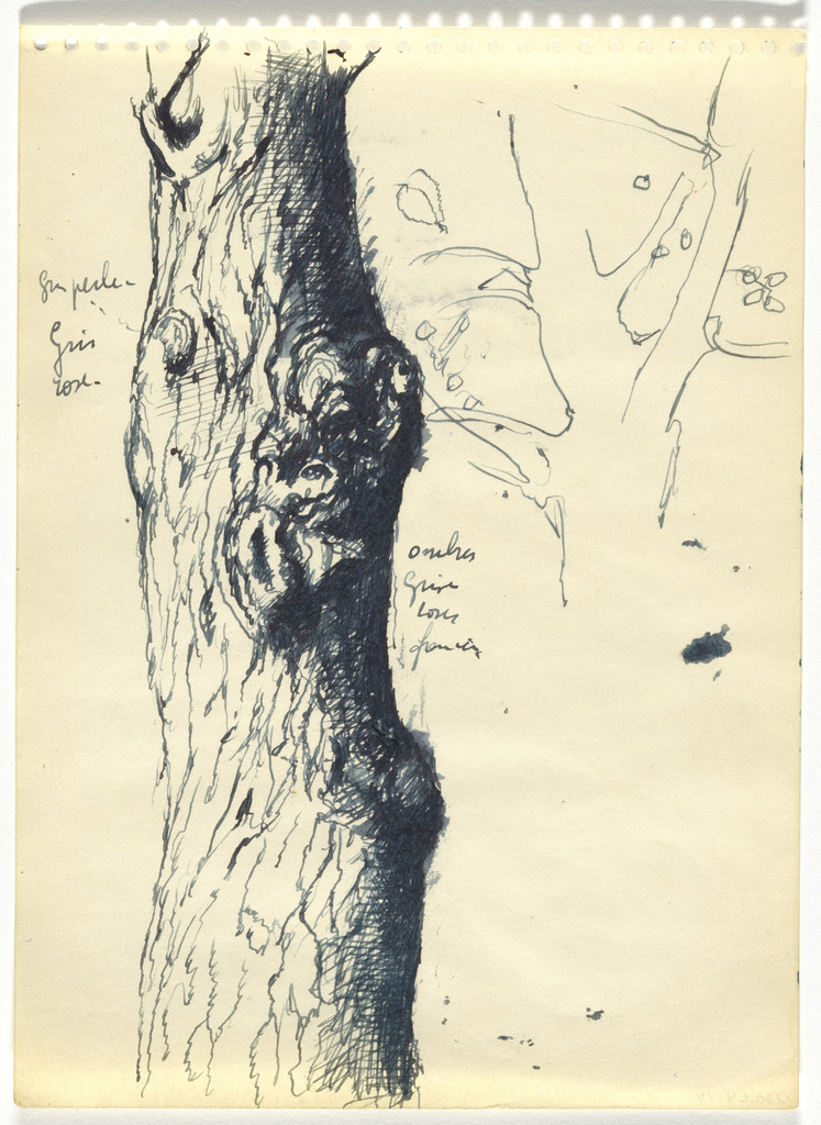 Sketchbook