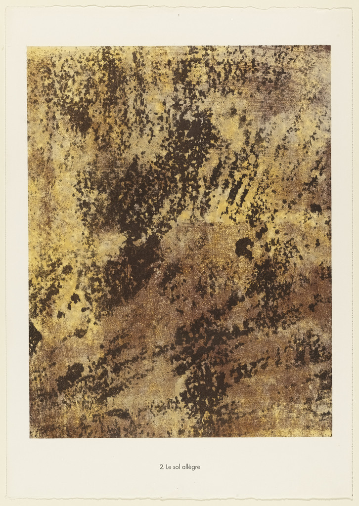Lively Soil (Le sol allègre) from the portfolio Anarchitecte (L'Anarchitecte) from Phenomena (Les Phénomènes)