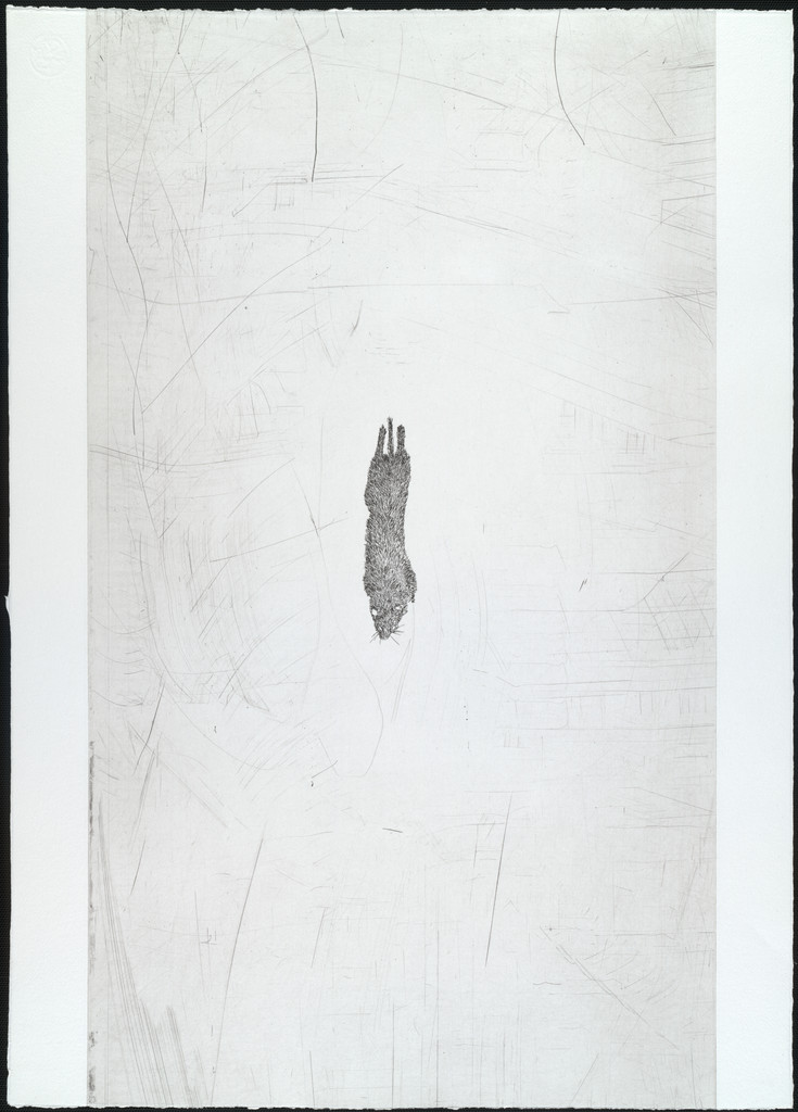 Untitled from White Mammals