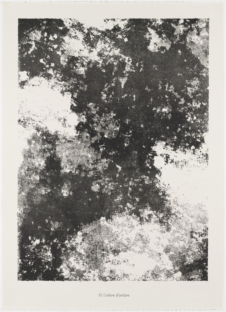 Tree of Shadow (L'arbre d'ombre) from the portfolio Expanses, Partitions (Etendues, parois) from Phenomena (Les Phénomènes)
