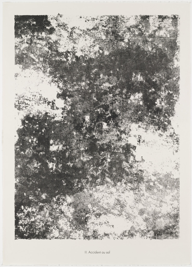 Occurrence in Soil (Accident au sol) from the portfolio Expanses, Partitions (Etendues, parois) from Phenomena (Les Phénomènes)