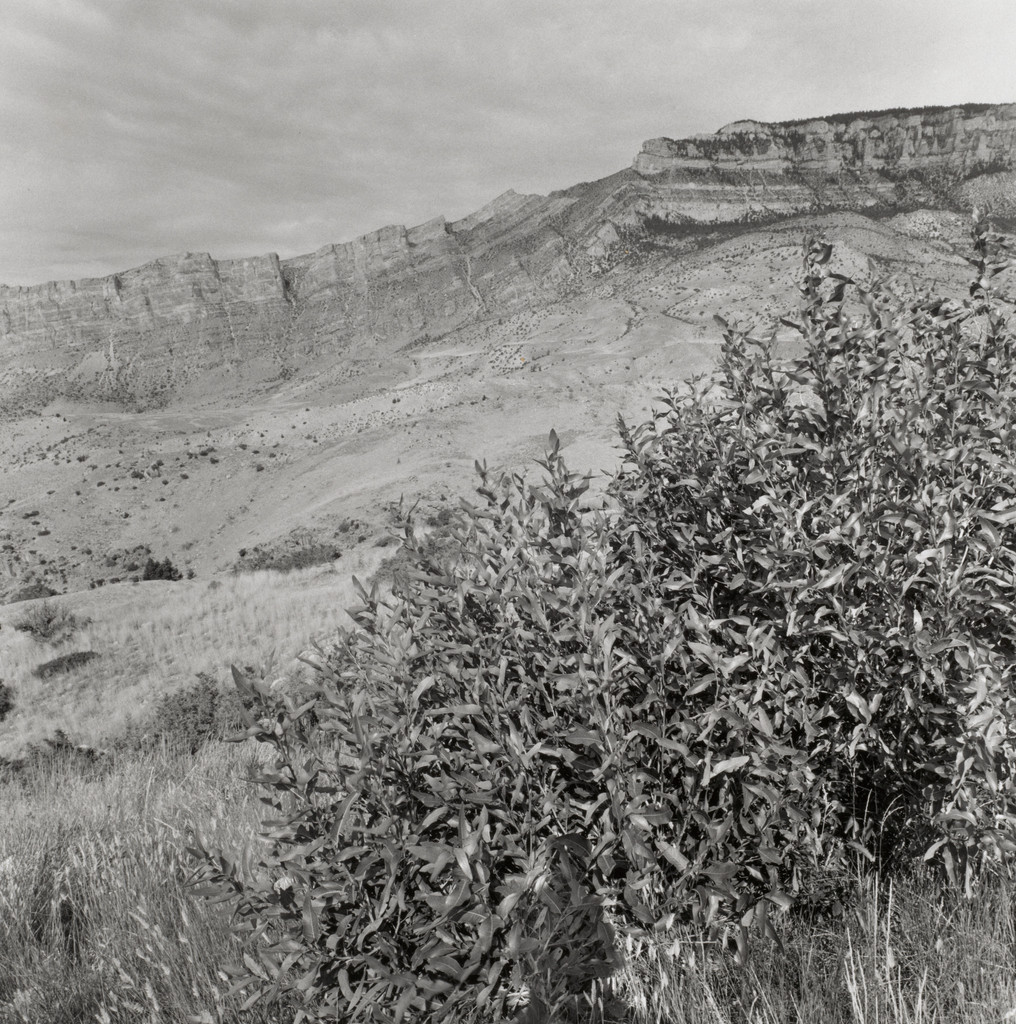 Black Hills
