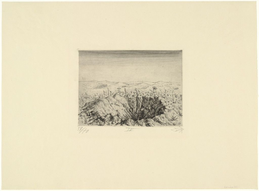 Shell Crater with Flowers (Spring 1916) (Granattrichter mit Blumen [Frühling 1916]) from The War (Der Krieg)
