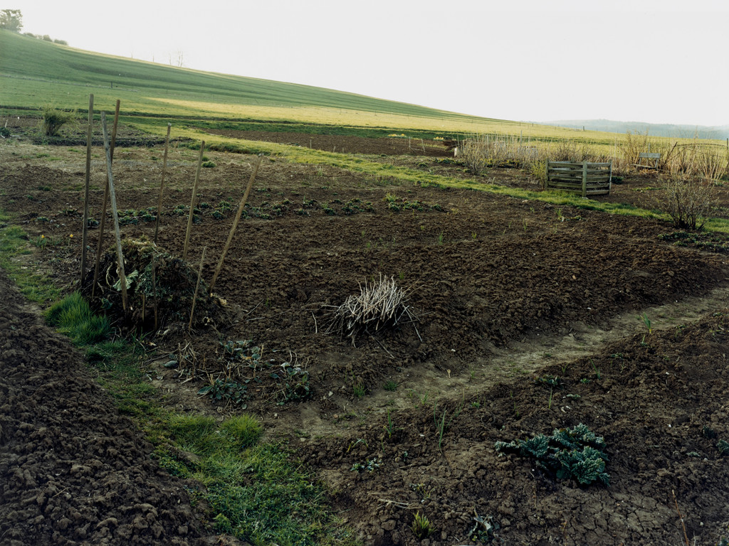 Field, Härtsfeld/Schwäbische Alb