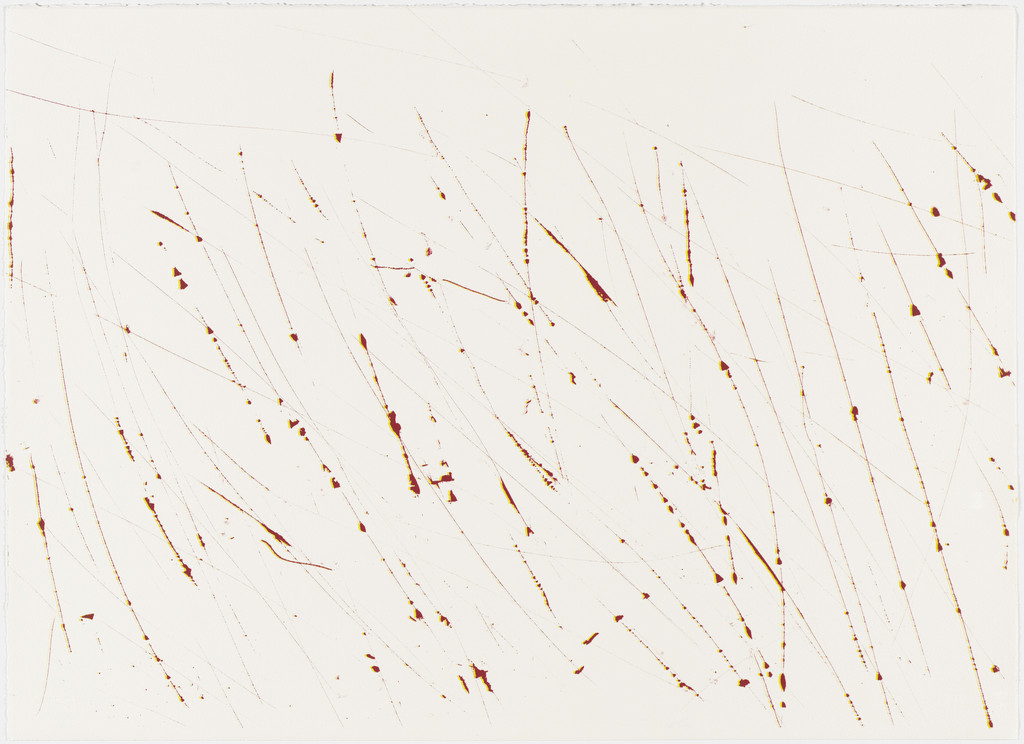 Untitled from Supernova