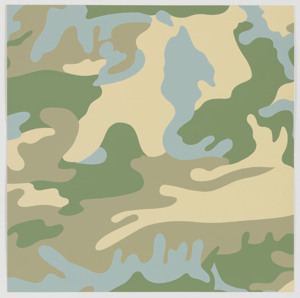 Untitled from Camouflage