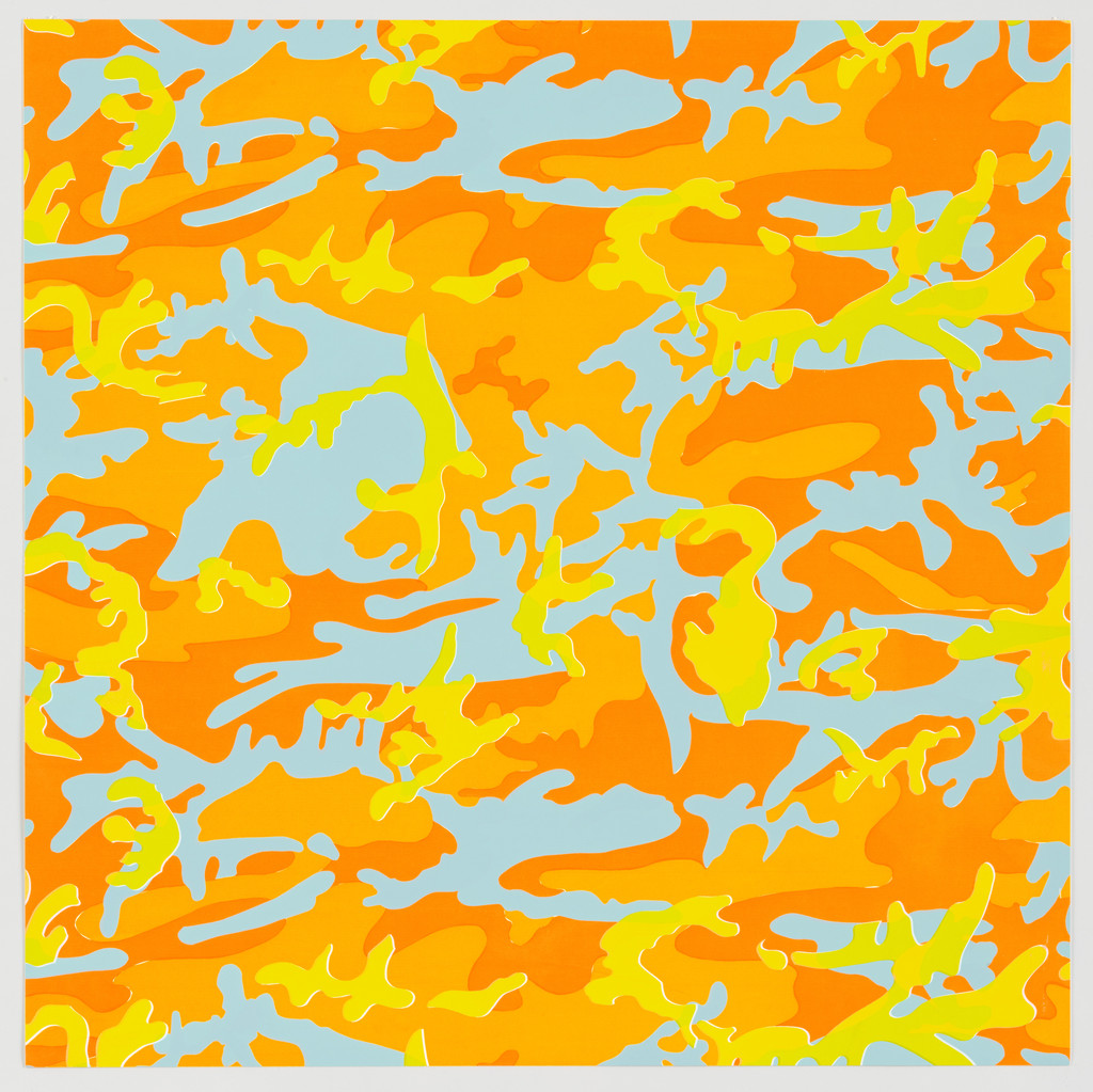 Untitled from Camouflage