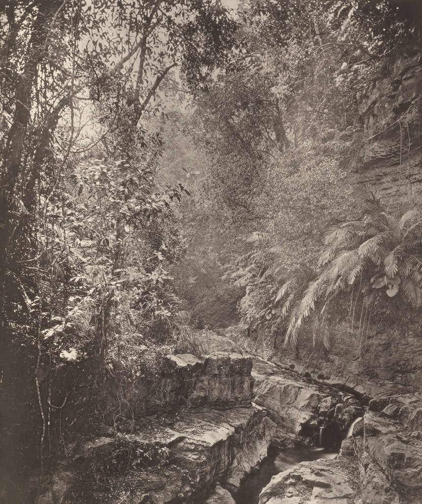 Mountain Pass in the Island of Formosa