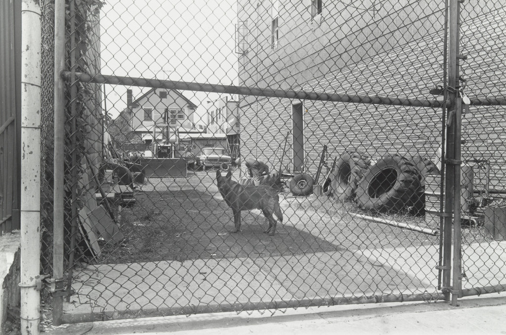 Kelso, Coney Island, Brooklyn