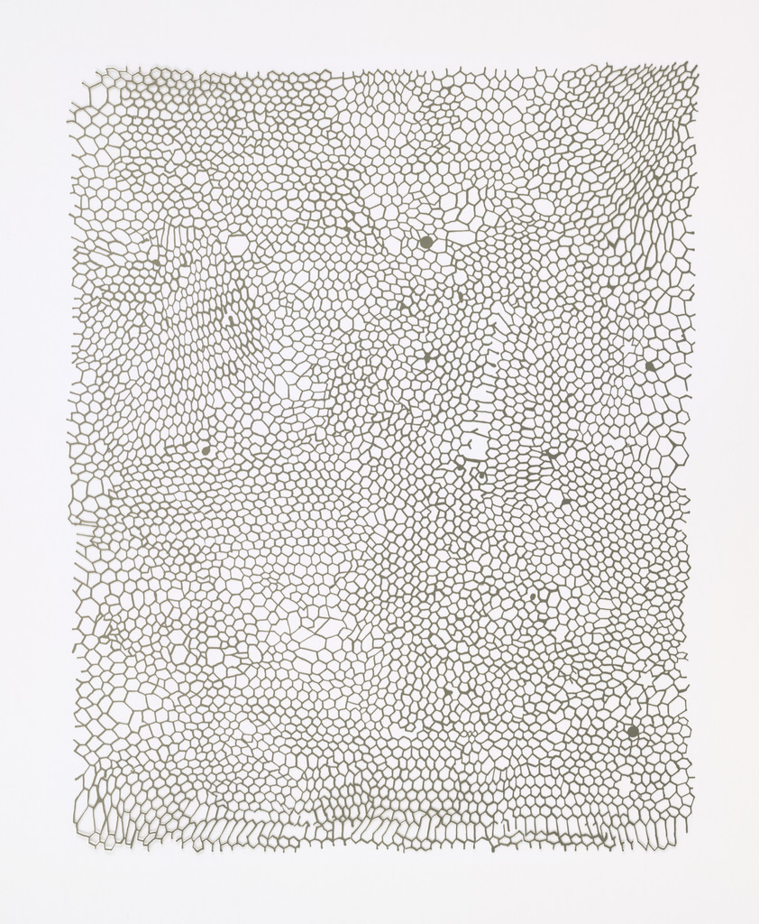 Untitled (Nets)