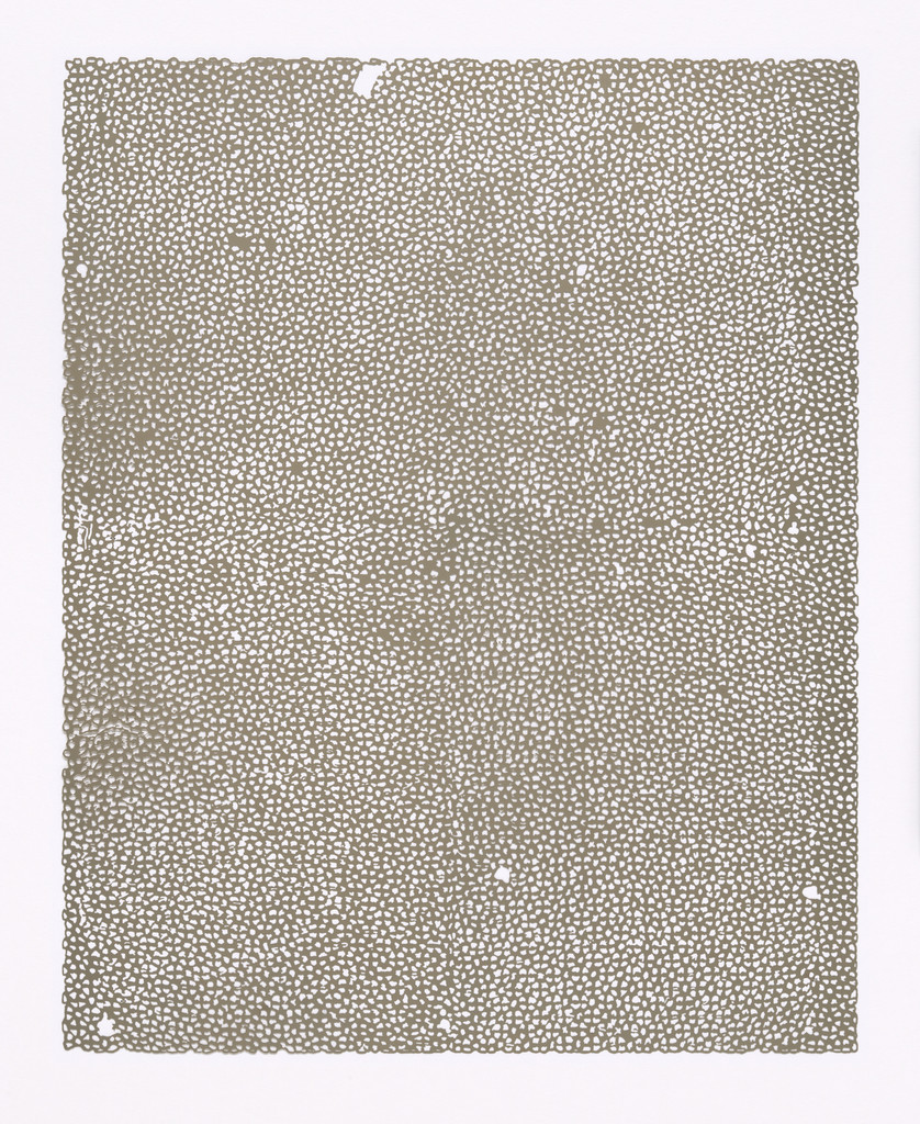Untitled (Nets)