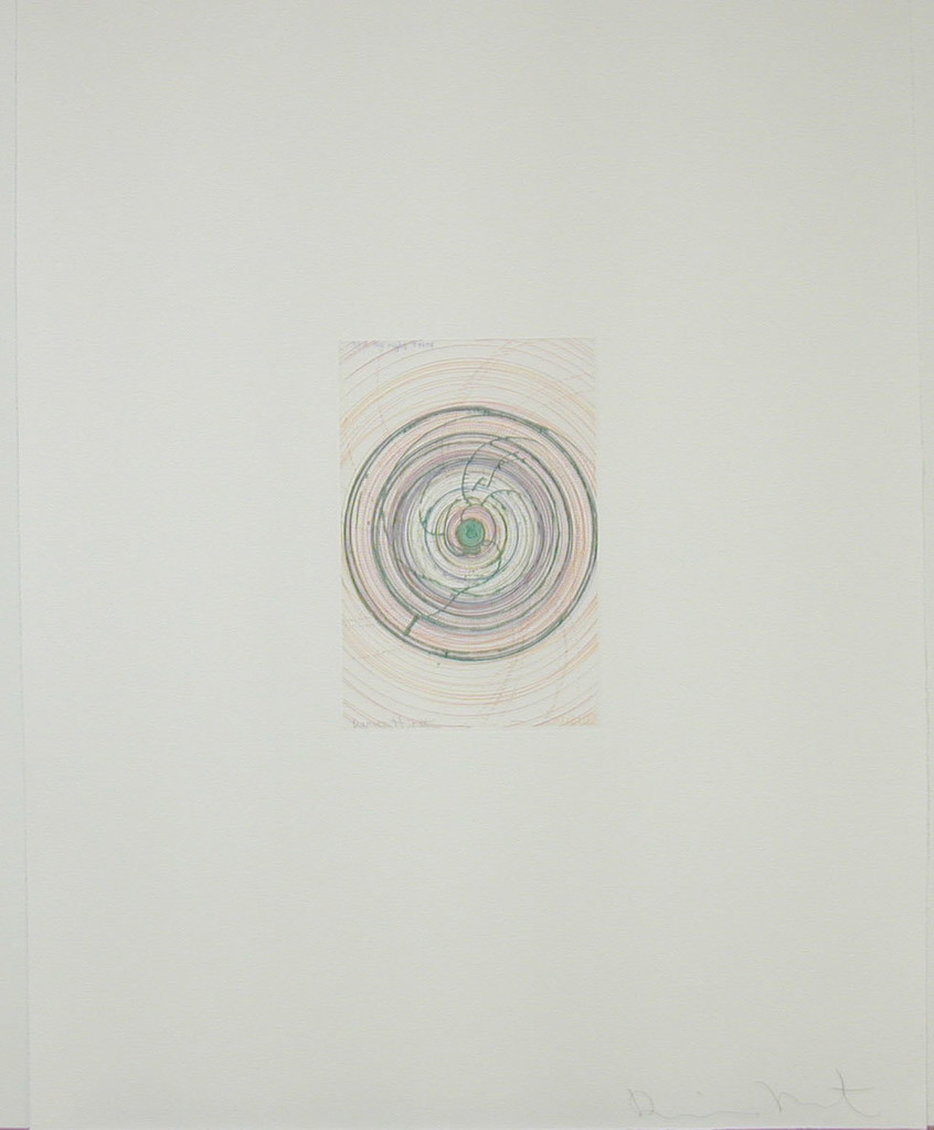 Spin me right round from In a Spin, the Action of the World on Things, Volume 1