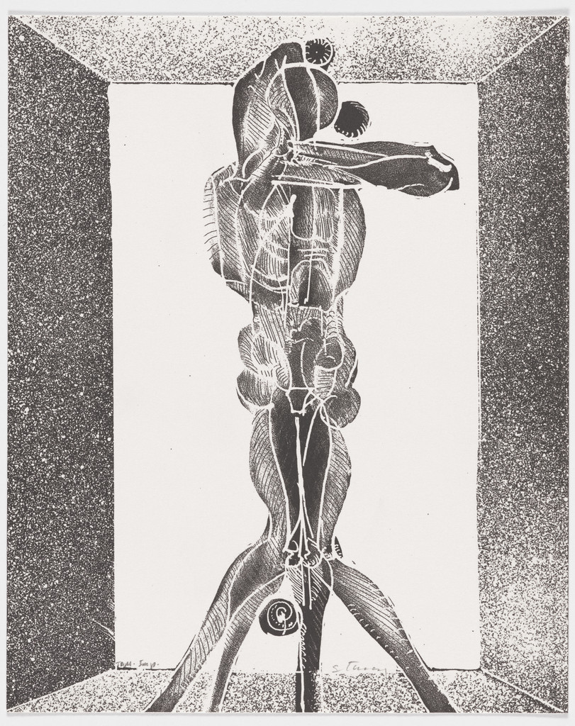 Untitled XIV from A Family of Acrobatic Jugglers