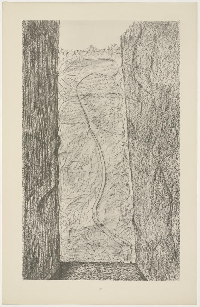 Scars (Les Cicatrices) from Natural History (Histoire naturelle)
