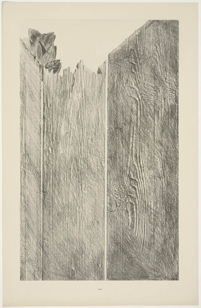 Shaving the Walls (Rasant les murs) from Natural History (Histoire naturelle)