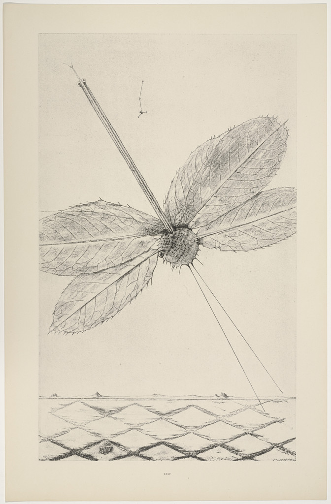 Teenage Lightning (Les Éclairs au-dessous de quatorze ans) from Natural History (Histoire Naturelle)