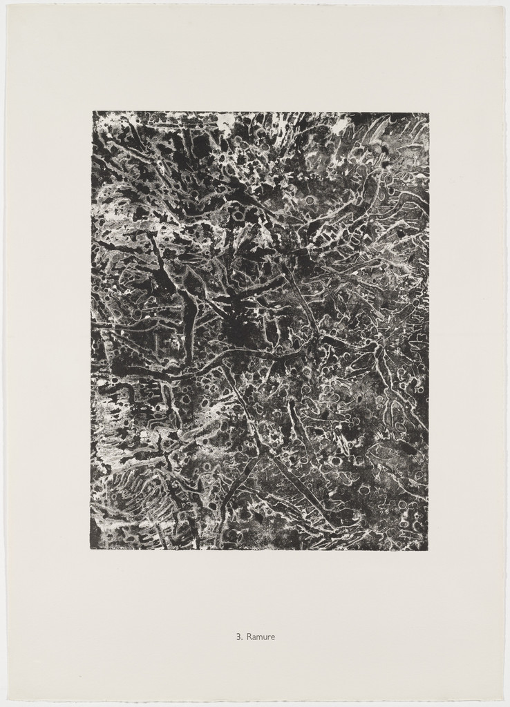 Branches (Ramure) from the portfolio The Elemental (L' Elémentaire) from Phenomena (Les Phénomènes)