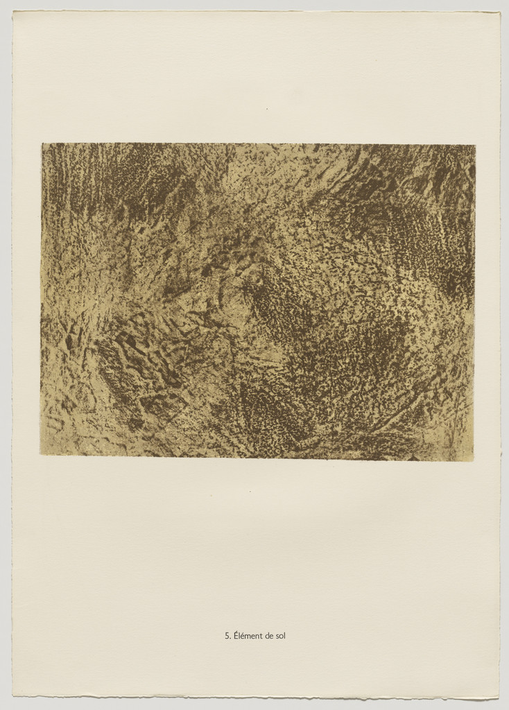 Soil Element (Elément de sol) from the portfolio Spaces and Places (Aires et lieux) from Phenomena (Les Phénomènes)