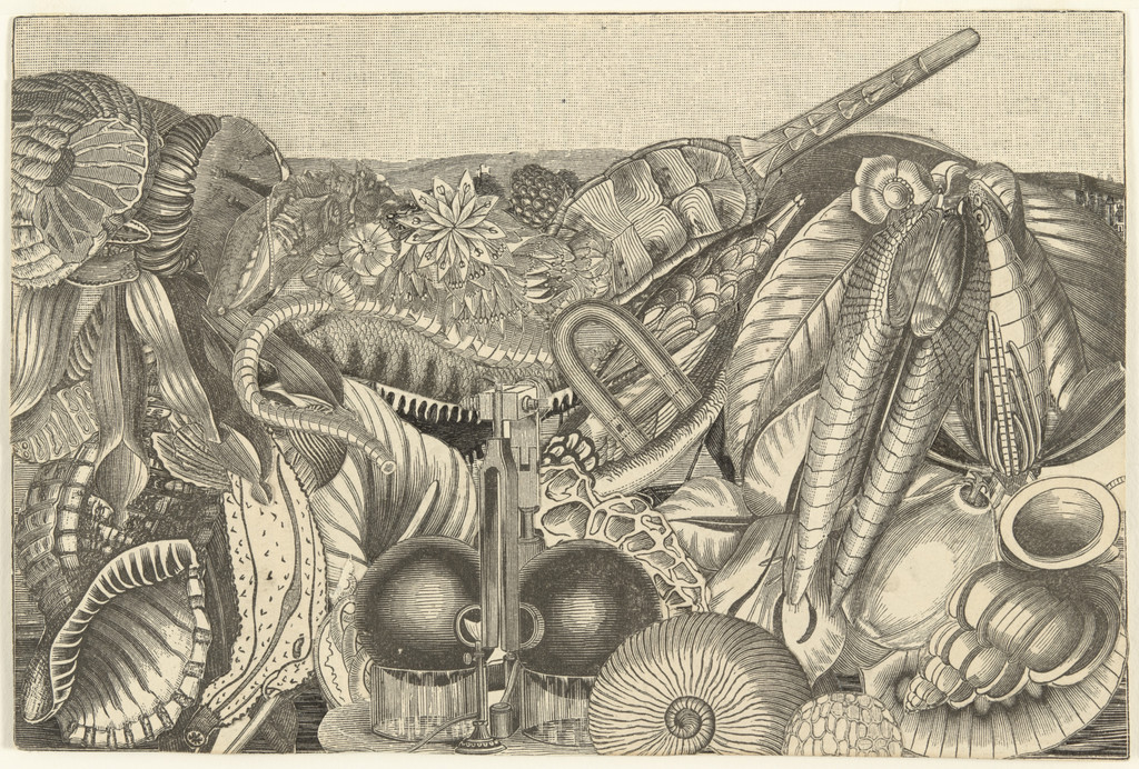 UNTITLED (LANDSCAPE)