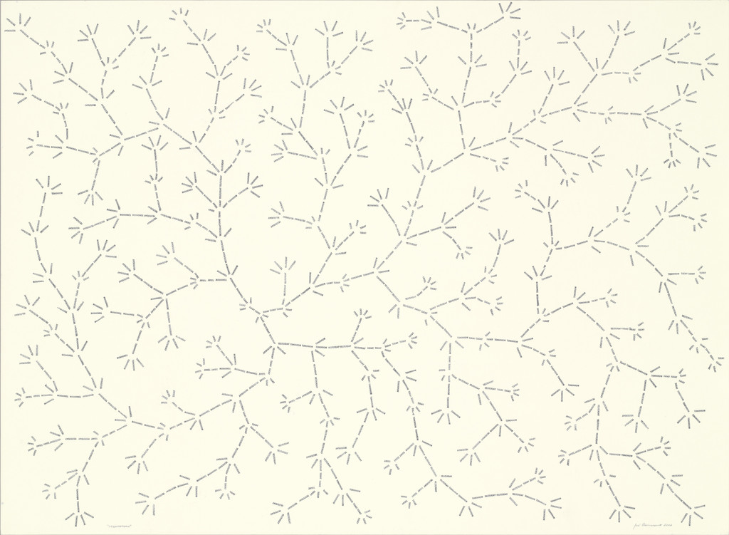 Organograma