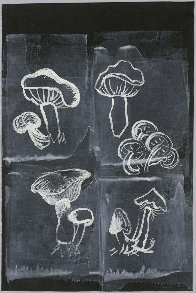 Untitled (mushrooms)