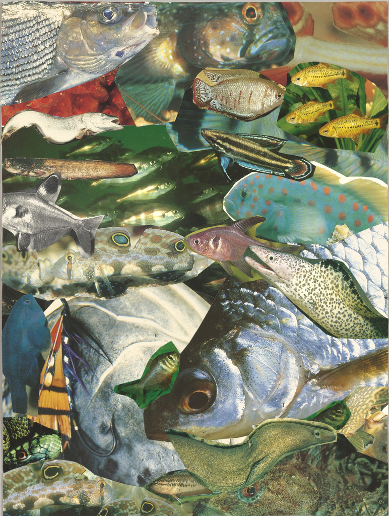 Fischcollage (#7)