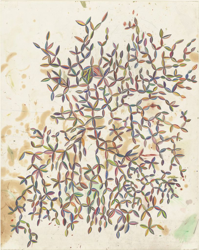 Big Seed Drawing