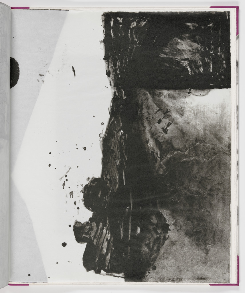 Plate (folio 19) from Salt Notes