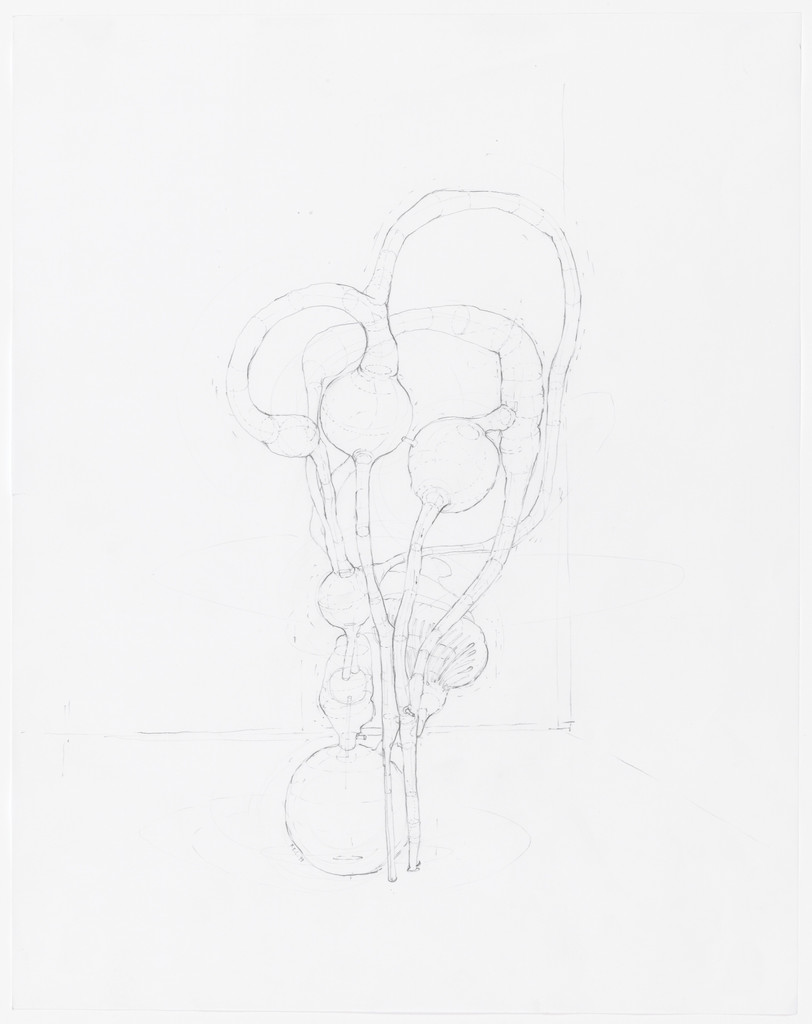 Membranous Labyrinth Gland Study II, III, IV