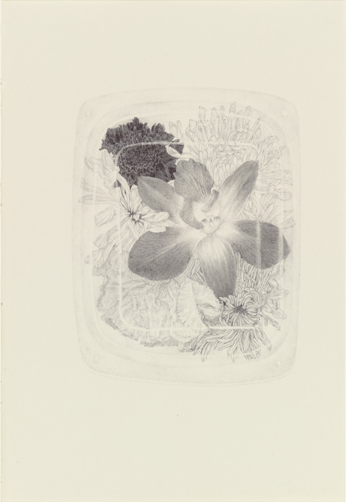 Untitled from the series 'Ten Thousand Things That Breathe'